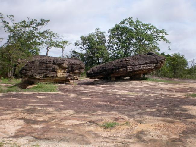 SANY7141.jpg